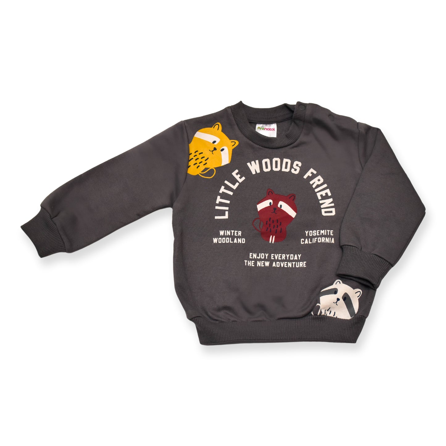 Little Woods Sweatshirt - (Charcoal)