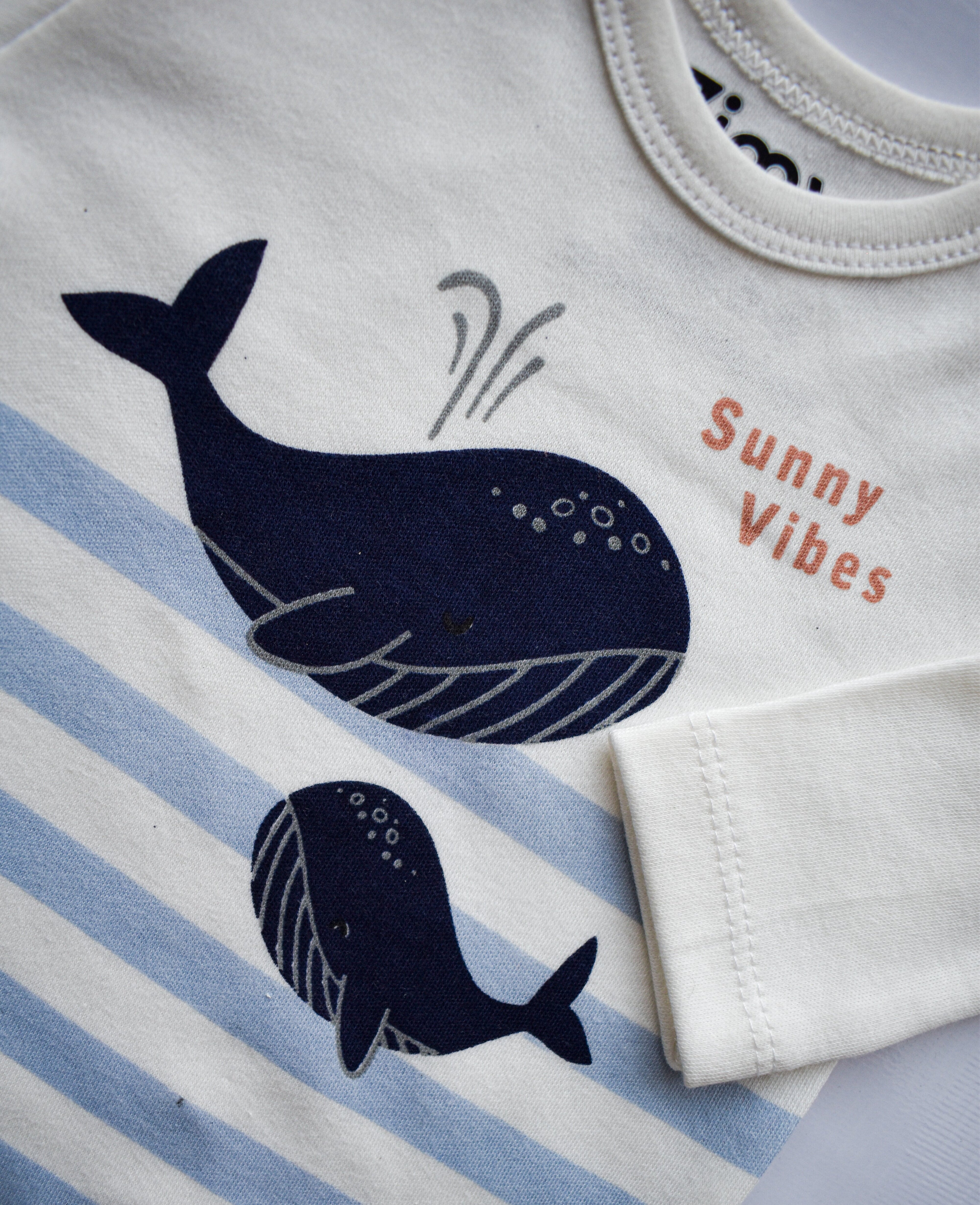 Whale Wonders 3-Piece Set